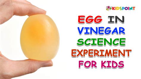 egg in vinegar experiment results|Egg in Vinegar Experiment .